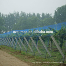 Alibaba china Cheapest bare hand vineyard crop bird netting